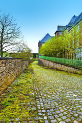 Pavement Covered with Moss in Belgium