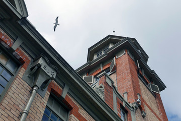 Fototapeta na wymiar 建物と鳥