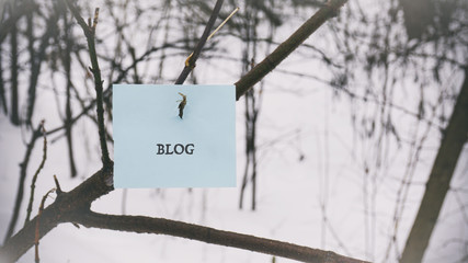  paper sticker on a branch, a word on a paper sticker