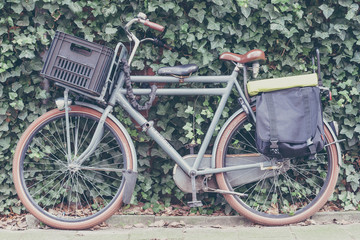 Fototapeta na wymiar Vintage bicycle leaning on a waall of climbing plants