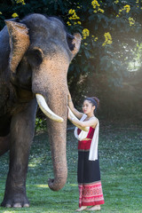 Pretty asian girl in traditional thai dress touching elephant's trunk
