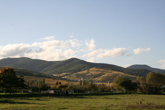 Alsacian landscape