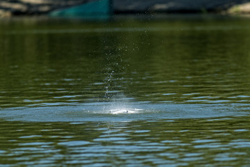 Drowned drone accident.