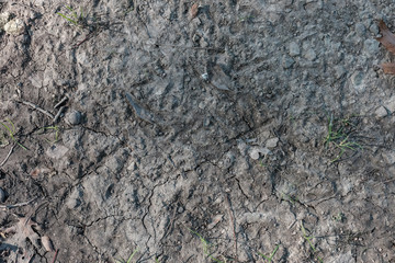 Close up abstract rough grunge crack floor,wall texture background