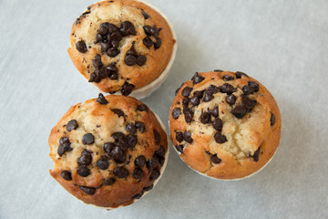  photo of a chocolate chip muffin.