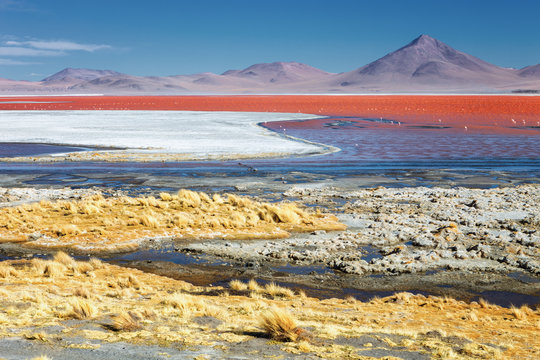 Red Lagoon (Red Lake) there are many colors, red, yellow, blue, white, a delight for sight and for the flamingos that live in it, Eduardo Avaroa Andean Fauna National Reserve, Bolivia