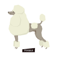 Dog collection Poodle Geometric style set