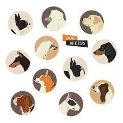 Dog collection. Vector set of 11 dog breeds. Geometric style icon round