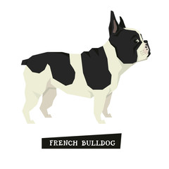 Dog collection French Bulldog Geometric style