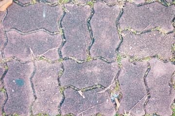 Obraz premium Close up abstract brick cement block concrete pavement floor pattern wall background texture