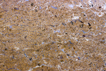 texture of stone, granite marble travertine