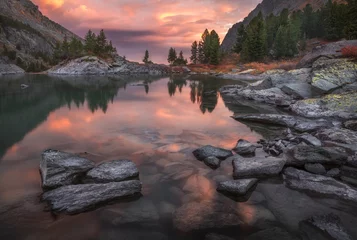 Aluminium Prints Cappuccino Mountain Lake Sunset Coast With Pine Forest And Rocks, Altai Mountains Highland Nature Autumn Landscape Photo
