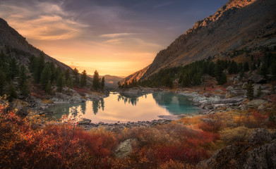Pink Sky And Mirror Like Lake On Sunset With Red Color Growth On Foreground, Altai Mountains...