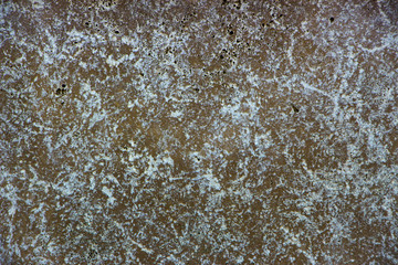 Obraz premium texture of stone, granite marble travertine