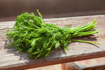 bunch of fresh dill