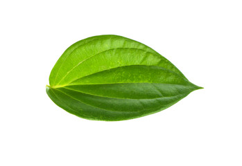 Fototapeta na wymiar The betel leaf on a white background