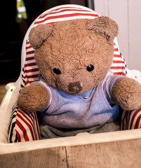 Teddy bear