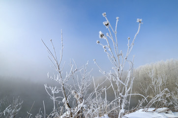 Frosty Morning on the lake, fog and frost on the grass.