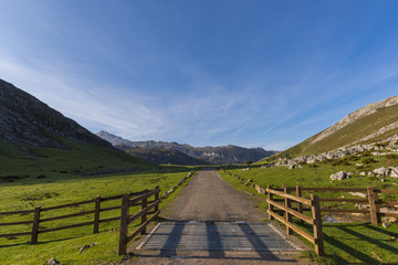 Camino rural el los Lagos de Covadonga (Asturias, España).