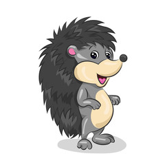 grey cartoon hedgehog at the white background