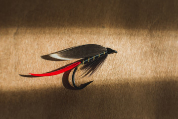 Macro shot of a wet fly fishing fly, Black prince