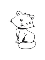 Cat baby cute sitting