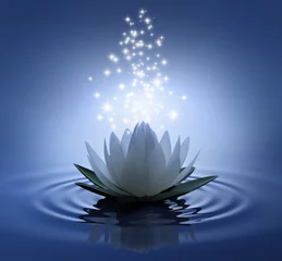 Foto op Plexiglas Lotusbloem Lotusbloem op blauw water met sterren