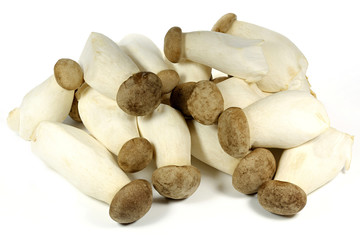 king oyster mushrooms isolated on white background