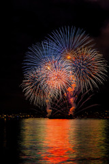 view of firework on the sea