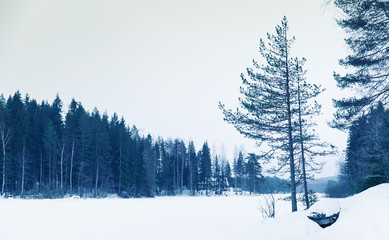 Winter landscape, frozen lake, blue