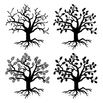 Park old trees. Vector tree silhouettes with roots and leaves