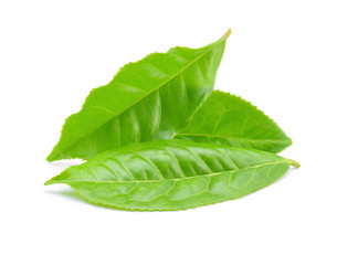 Obraz premium green tea leaf isolated on white background