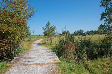 Wanderweg durchs Staffelsee-Moor, Oberbayern