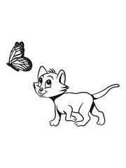 Cat baby cute butterfly