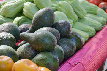 green Avocados in the market