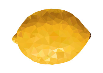 triangle fresh lemon and lemon slice