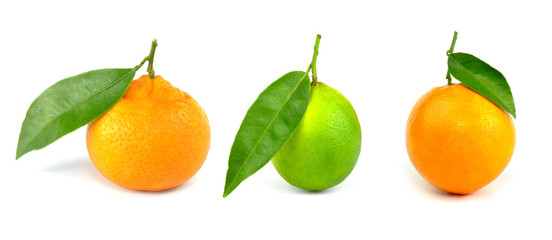 Mandarine, lime, orange