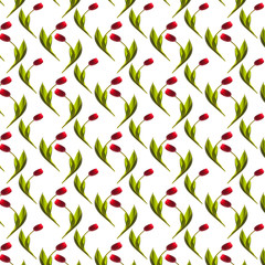  patern beautiful elegant red tulips