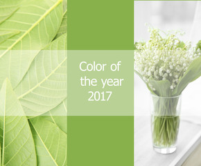 Trendy color concept. Text COLOR OF THE YEAR 2017 on background