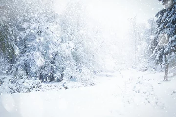 Fotobehang Winter Prachtig winterlandschap tijdens sneeuwstorm