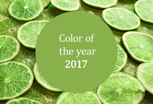 Trendy color concept. Text COLOR OF THE YEAR 2017 on sliced lime background