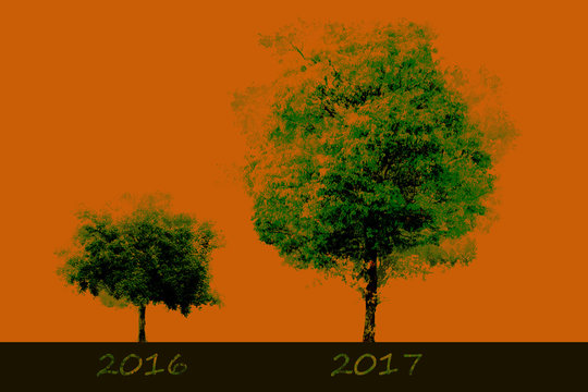 Growth in 2017 with an orange background