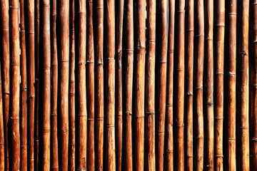 Bamboo fence background and bamboo texture in dark tone