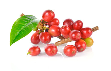 fresh coffee beans isolated on white background