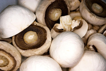 Шампиньоны