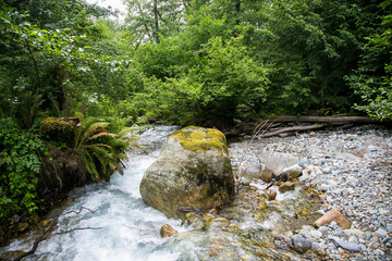 Mountain rvier in highland forest in Abkhazia