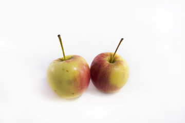 Red and yellow apples isolated on white background