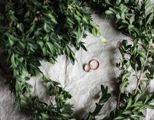Wedding. Wedding rings on kraft Bumacov with green leafy plants. Wedding rings on a branch.