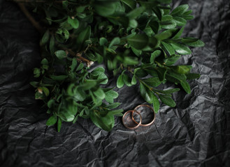 Wedding. Wedding rings on kraft Bumacov with green leafy plants. Wedding rings on a branch.