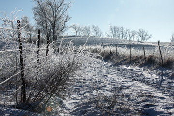 A farm land with a wire fence in the winter sparkling with frost.